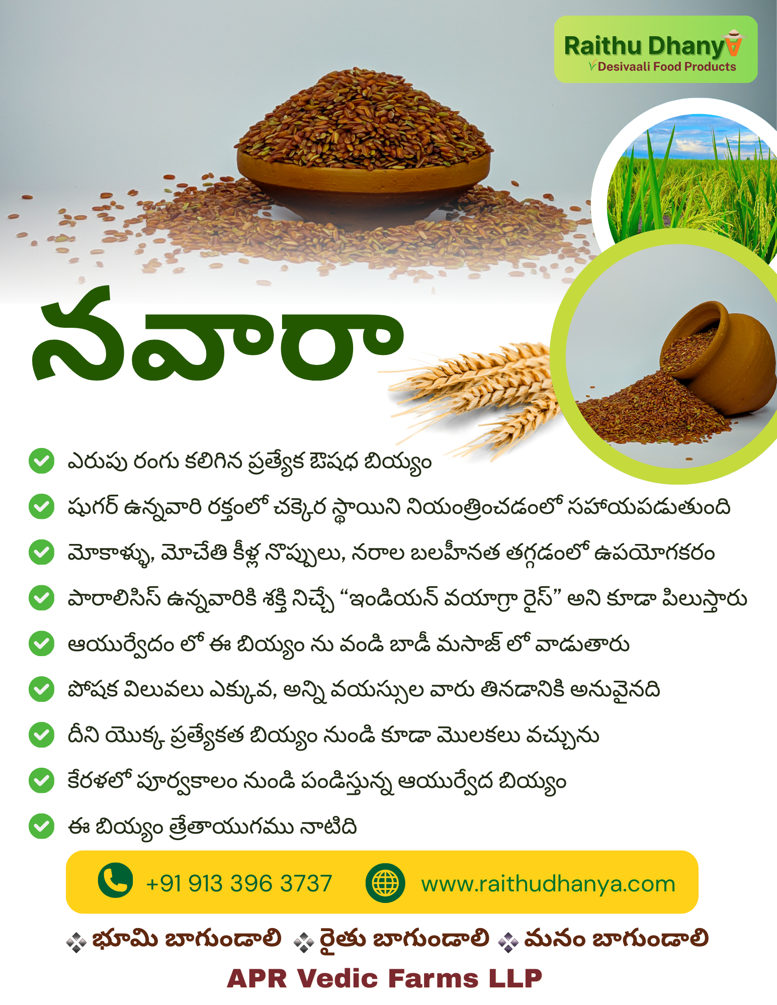 From Farm to Table: Our Rice Journey